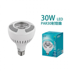 TDS – LED PAR30射燈膽 PC02E2