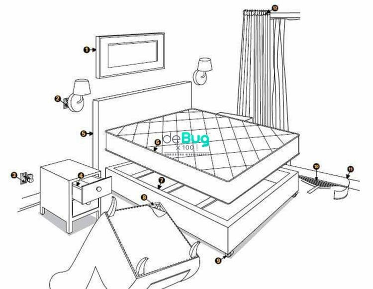 deBug - 針對床蝨木蝨 |DE粉 (粉劑) 矽藻土 - 殺蟲水及蝨蛋