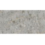 TIDIY 特地 - 負離子大理石瓷磚 卡納金 TDMF10460120PS
