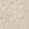 TIDIY 特地 – 負離子大理石瓷磚 威尼斯金 TDMF20460120PS
