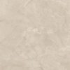 TIDIY 特地 – 負離子大理石瓷磚 威尼斯金 TDMF20460120PS