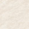 TIDIY 特地 – 負離子大理石瓷磚 蒂諾米黃 TDL20480SF