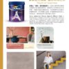 Dulux 多樂士 – 「臻彩」雲石藝術漆 536