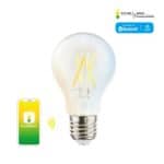 FUTURE SMART - 4.5W A60 E27 智能黃白光造型燈膽