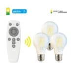 FUTURE SMART - 4.5W A60 E27 智能黃白光造型燈膽套裝