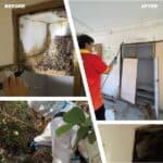 MasterClean - 專業環保滅蟲